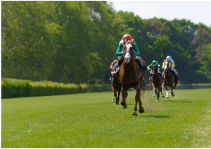 (Stock ID: 365470247)