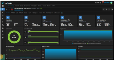 Database Console Monitor Effective Strategies for Database Monitoring